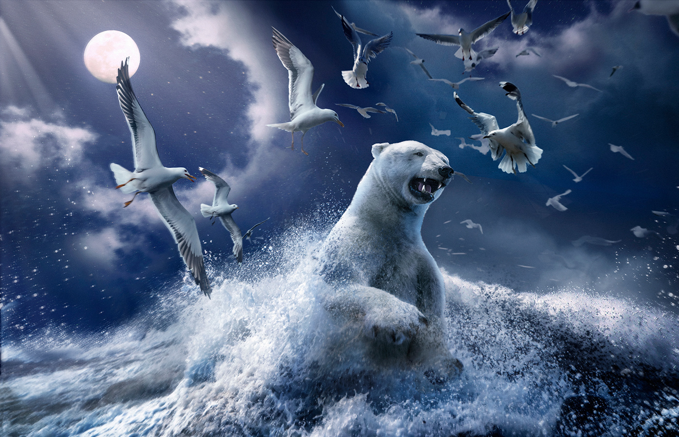 animals art bear concept digital fight retouching  story visual water
