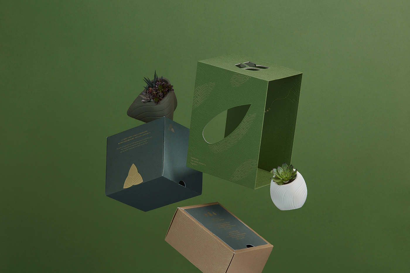 包裝設計 植物 禮盒設計 端午
