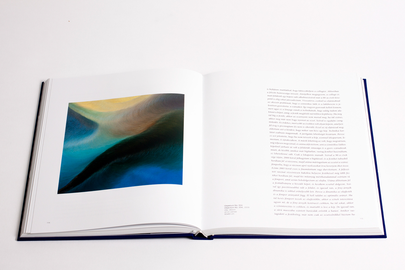 contemporary art painter art book life-work book design