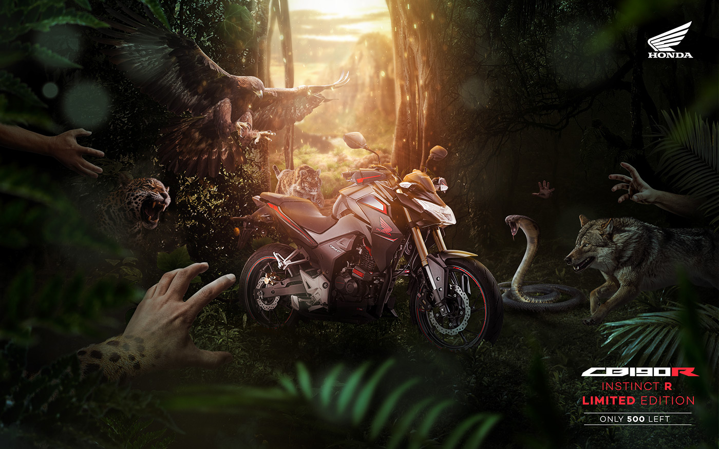 Honda Bike jungle green motorcycle dream animals