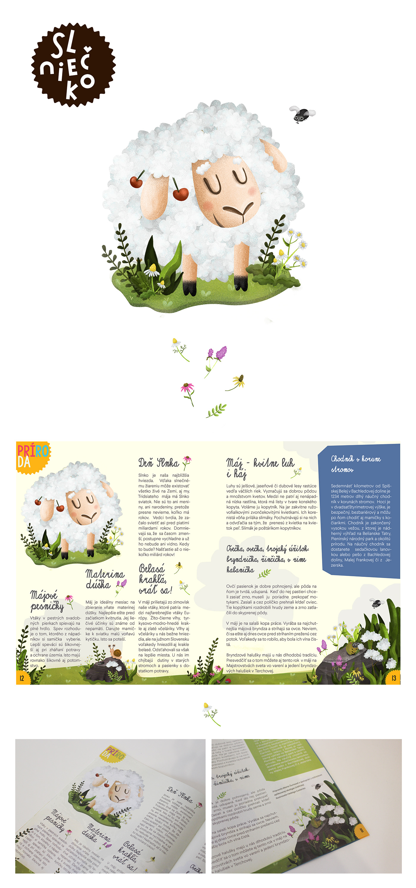 editorial magazine children animals spring bugs sheep Flowers