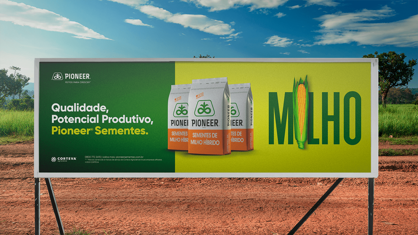 seeds agriculture agricultura Agro Agronegócio color brand identity visual brand branding 