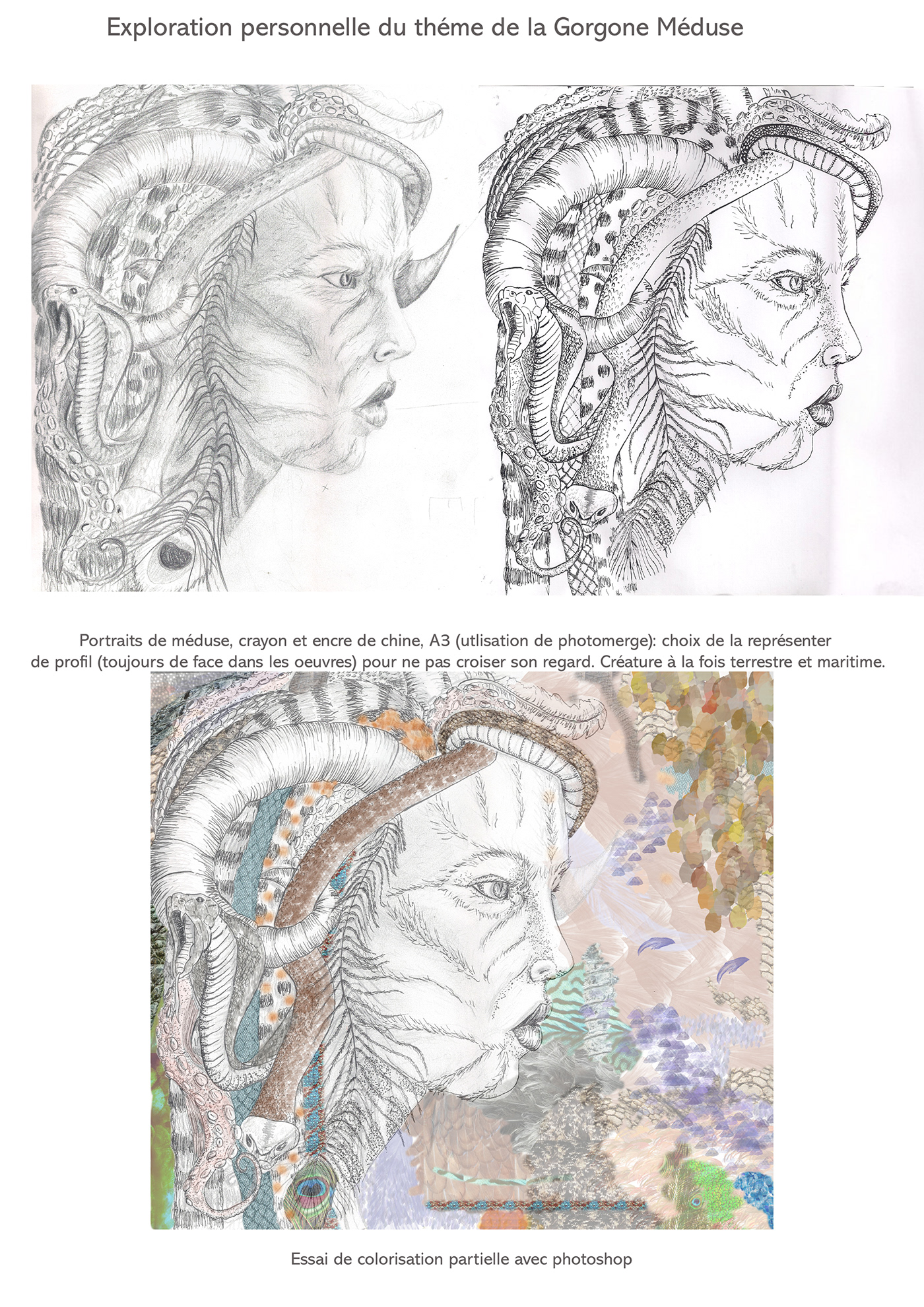 medusa Gorgone mythology Digital Art  ILLUSTRATION  Character design  hybridation
