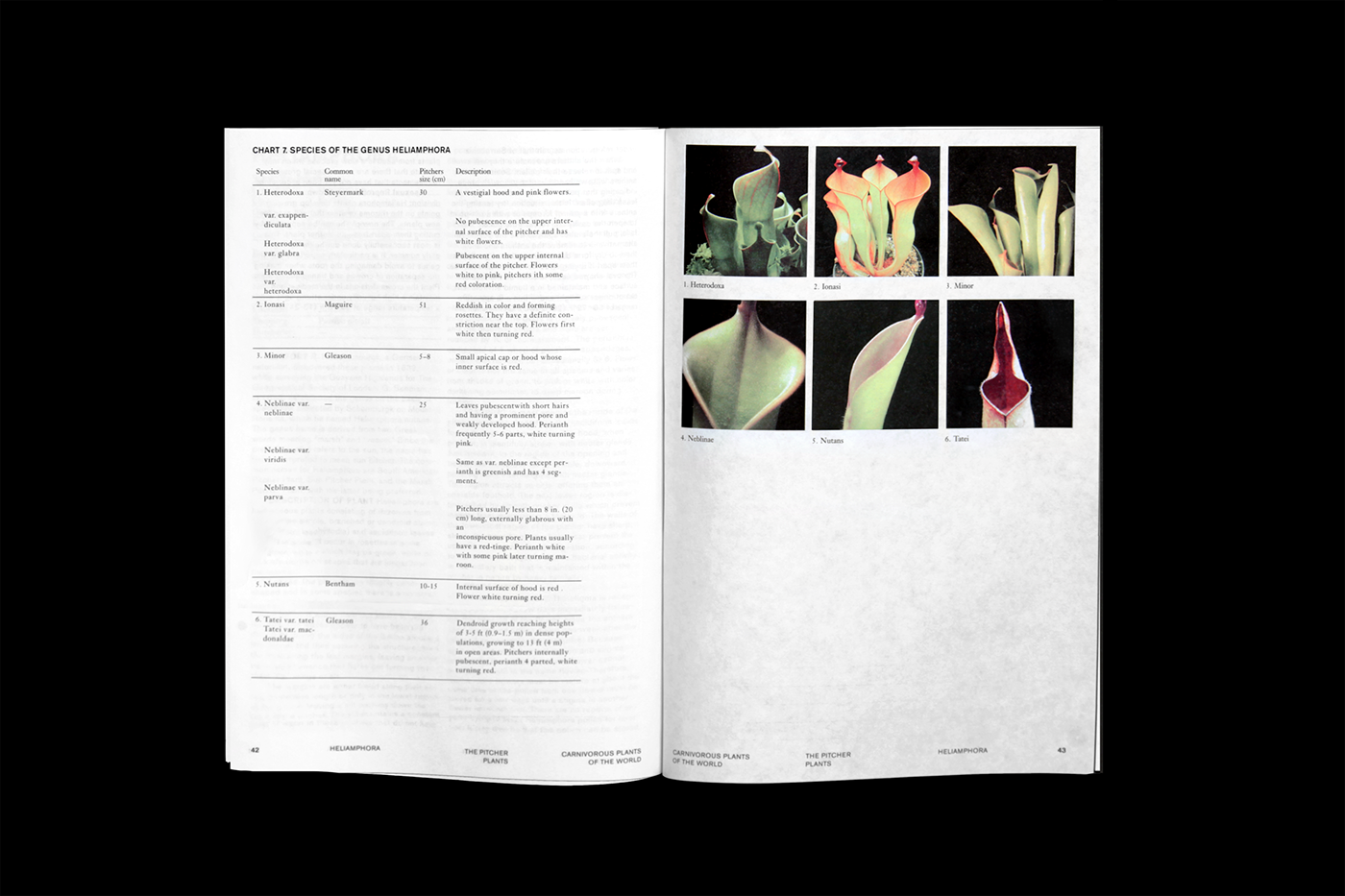 plants directory Encyclopedia book editorial adobeawards