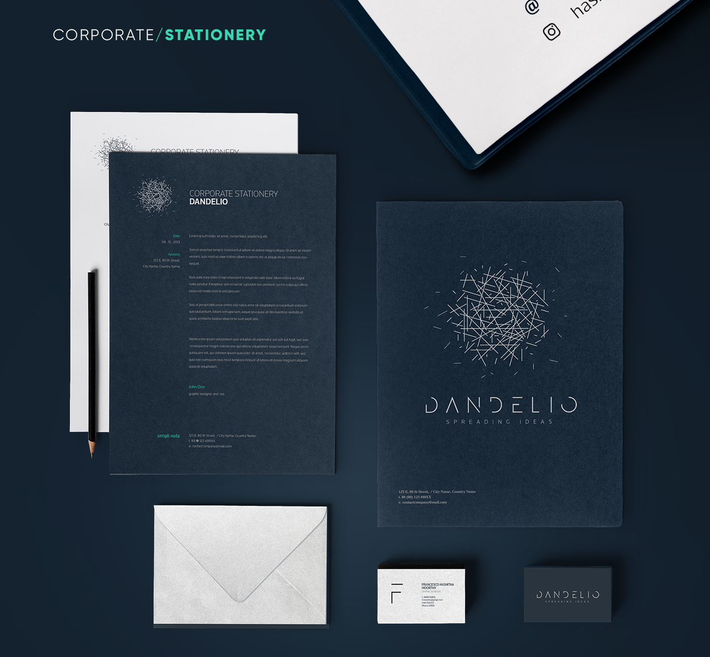 dandelio digital agency logo animation  brand