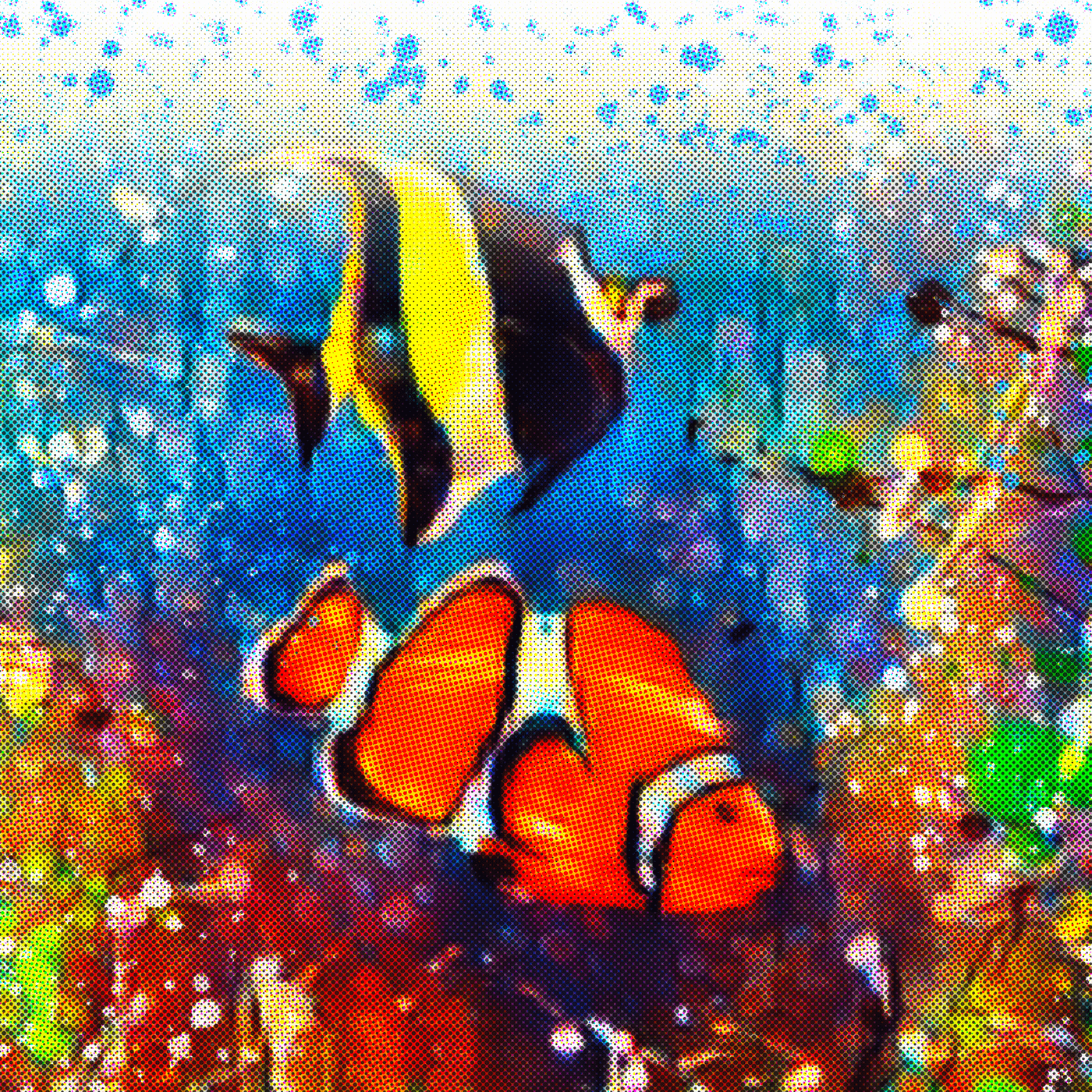 clown fish marine art Marine fish