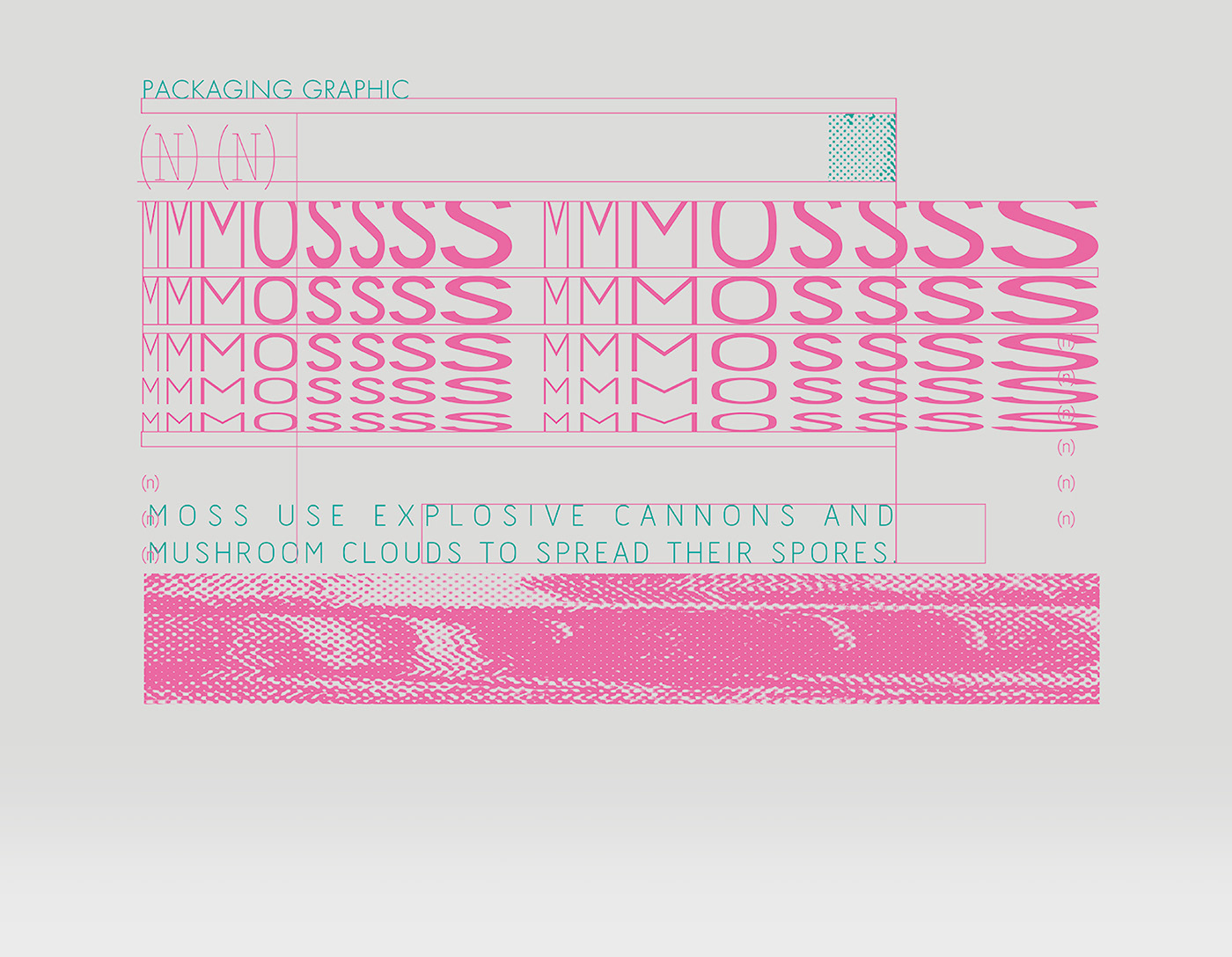 adobeawards Packaging print design  moss reddot visual TDC typography   typography graphic design mossarium