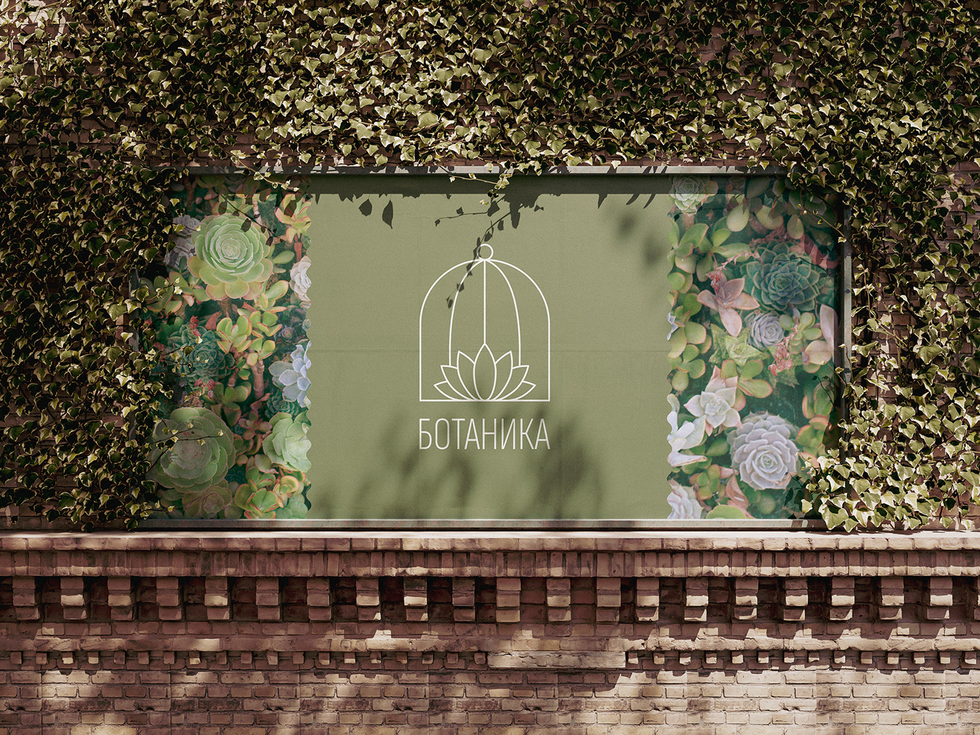 logo brand identity Logo Design botany Succulent botanical branding  Graphic Designer Logotype adobe illustrator