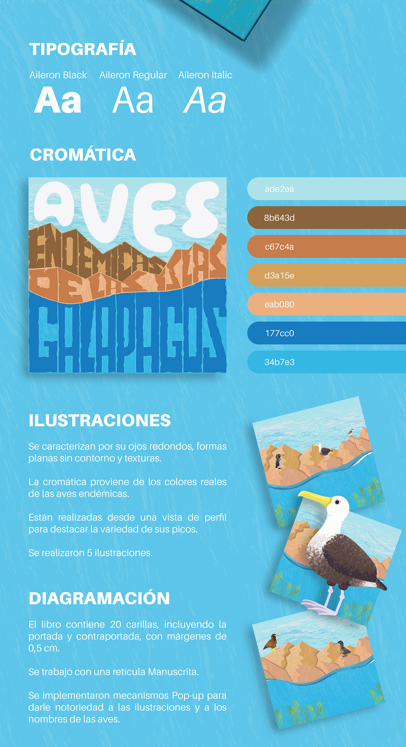 editorial print book typography   diagramación Turismo libro birds turquoise Ecuador