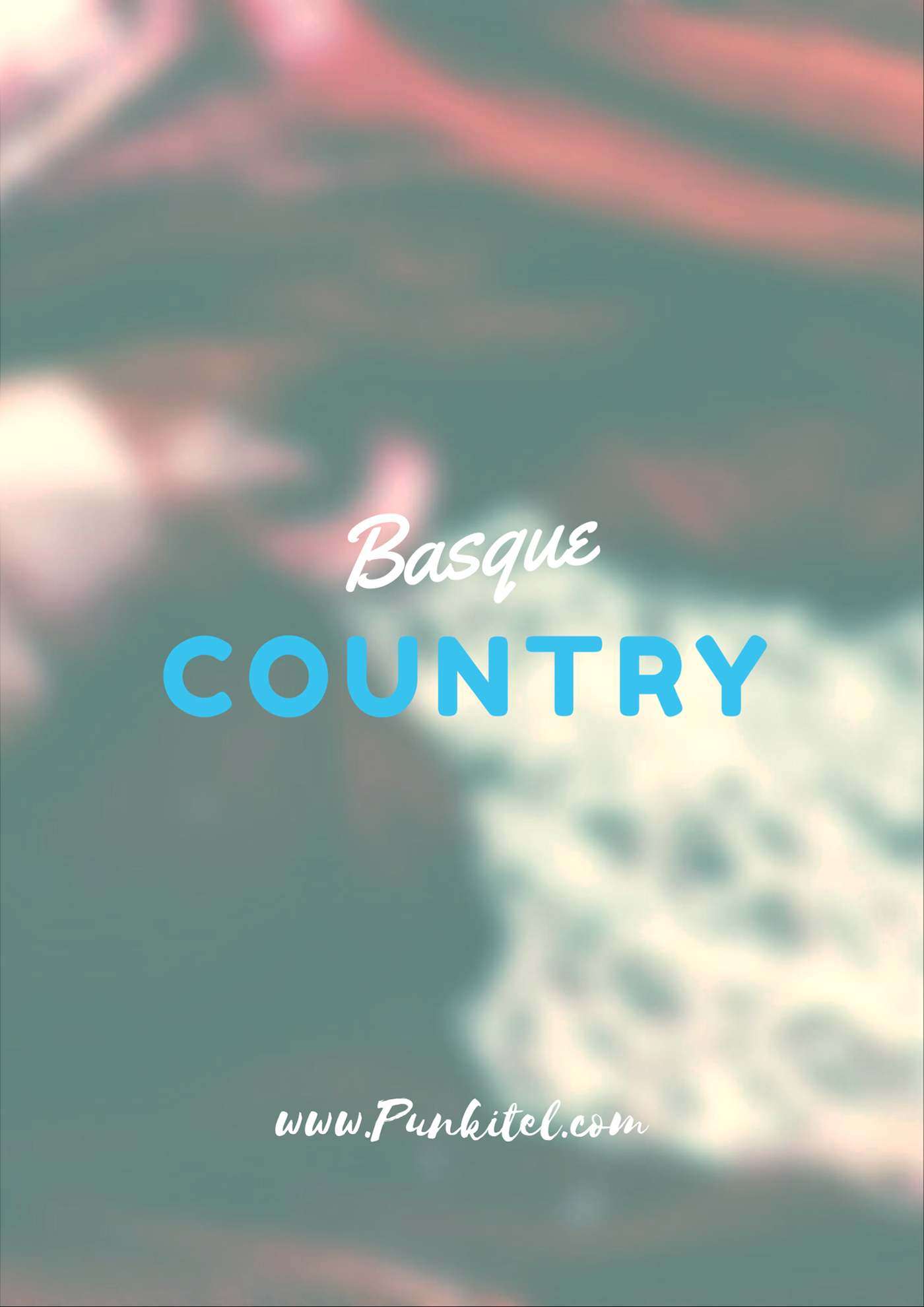 Fotografia basque country punkitel