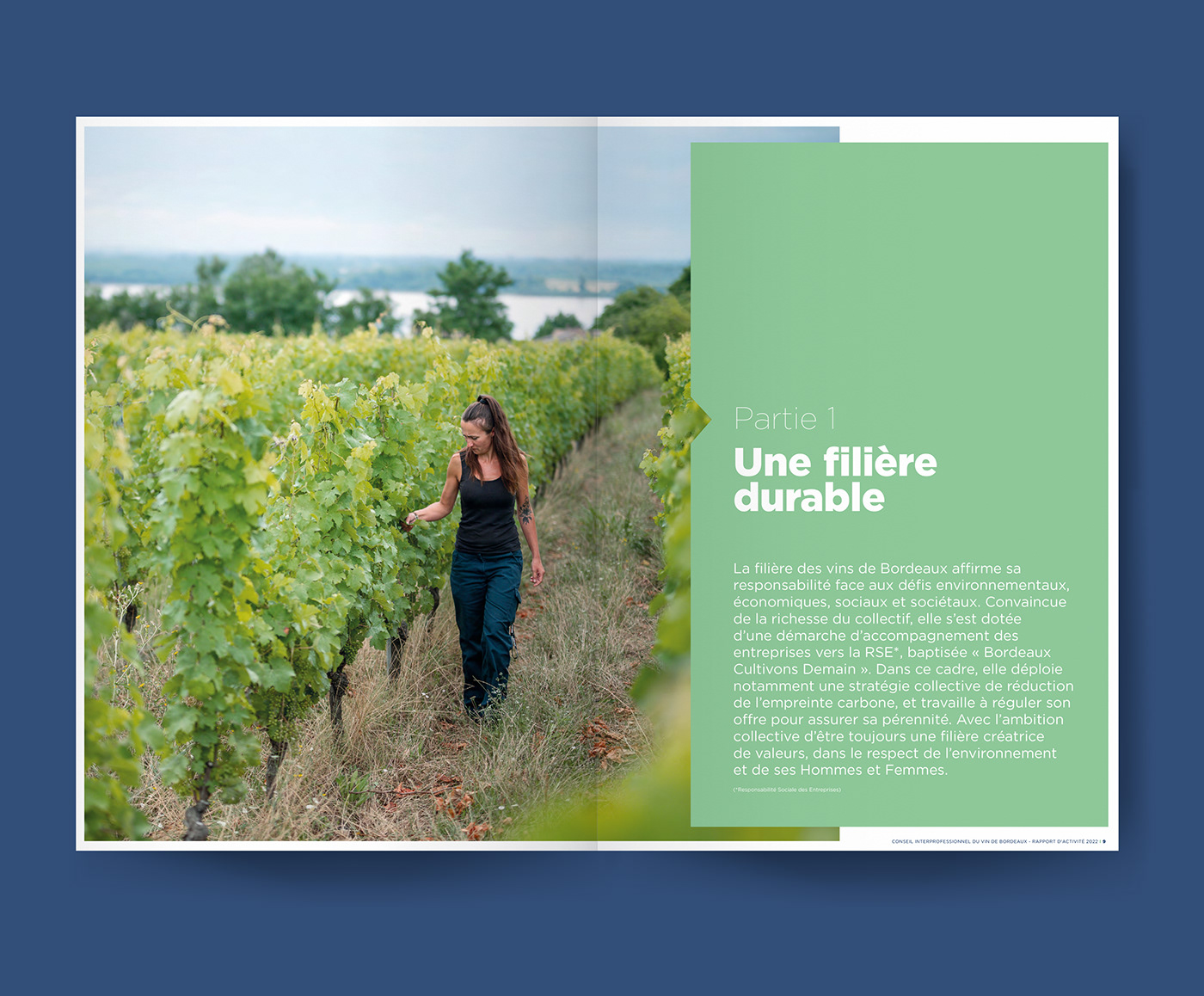 edition graphisme print mise en page InDesign Vins wine Bordeaux
