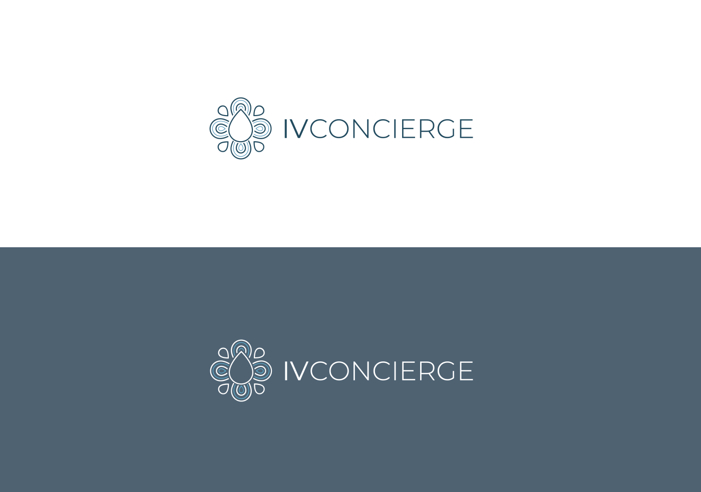 brand concierge florida graphic design  identity IV ivconcierge logo Logotype miami