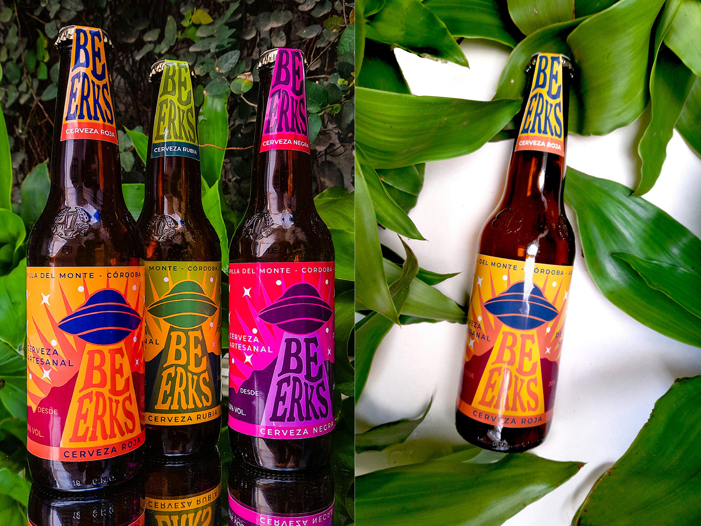 design rediseño diseño gráfico Logo Design Graphic Designer cerveza beer Packaging