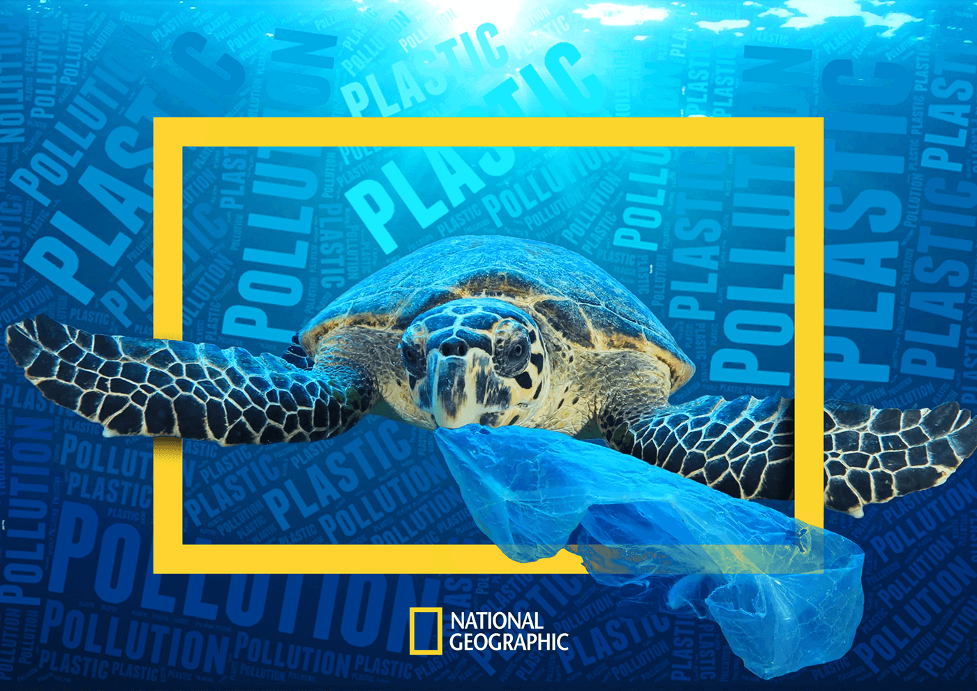 national geographic Nature Turtle Ocean water polution plastic