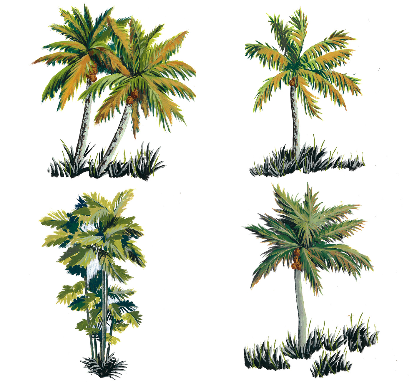 coqueiros Fashion  jungçe moda onça Palm Tree savage selva selvagem wild