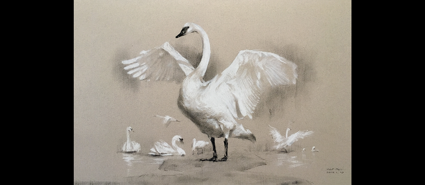 swan Drawing  Fine Arts  dancer girl figure portrait poem animal