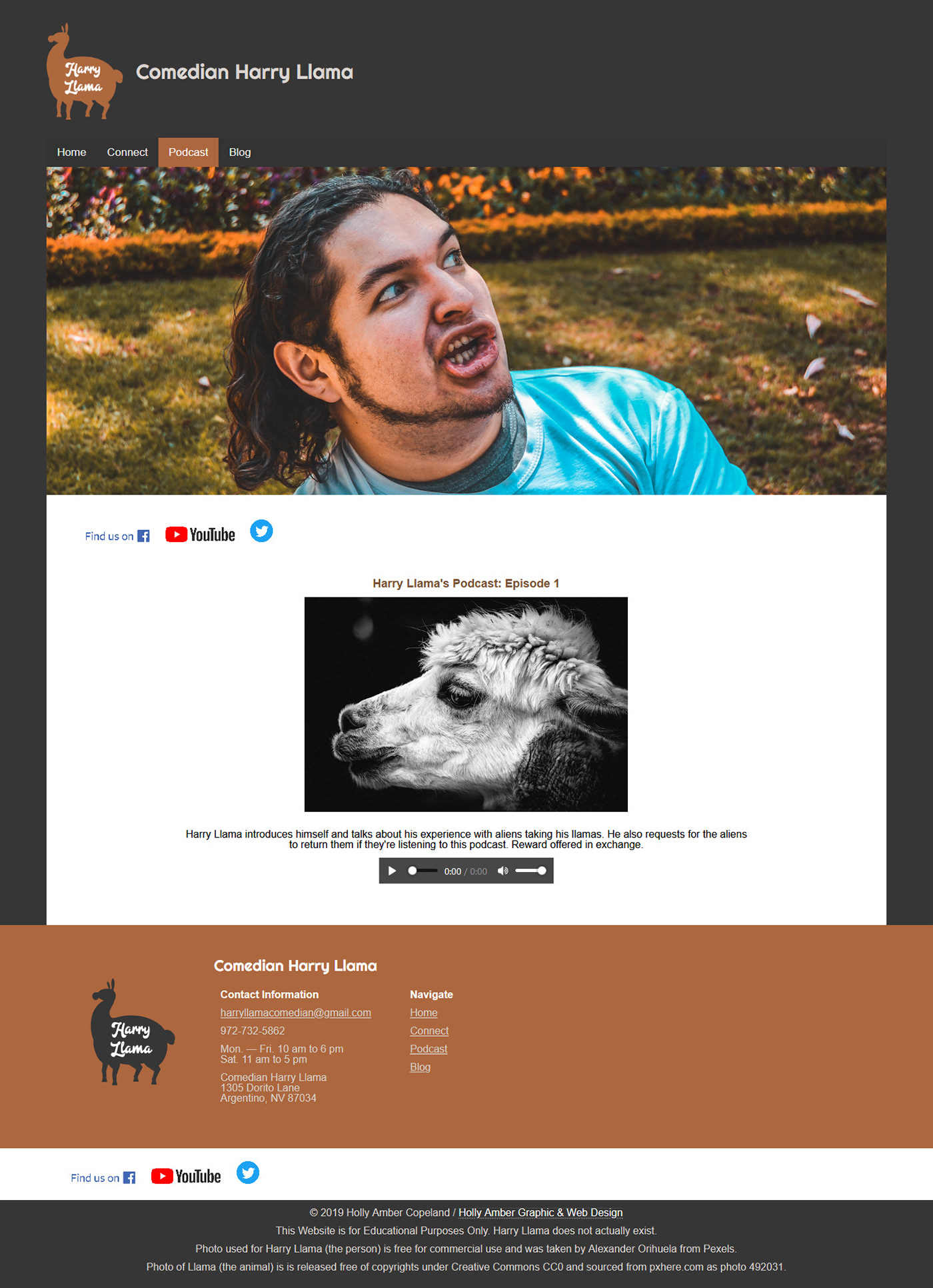 comedian harry llama Web Design  Website
