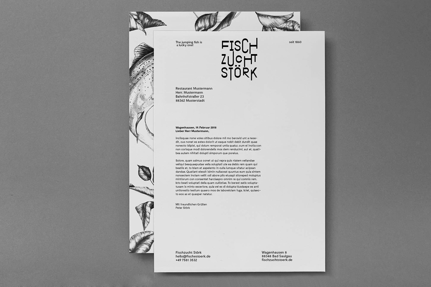 branding  identity Corporate Design Label brand Typeface font clean typography   fish