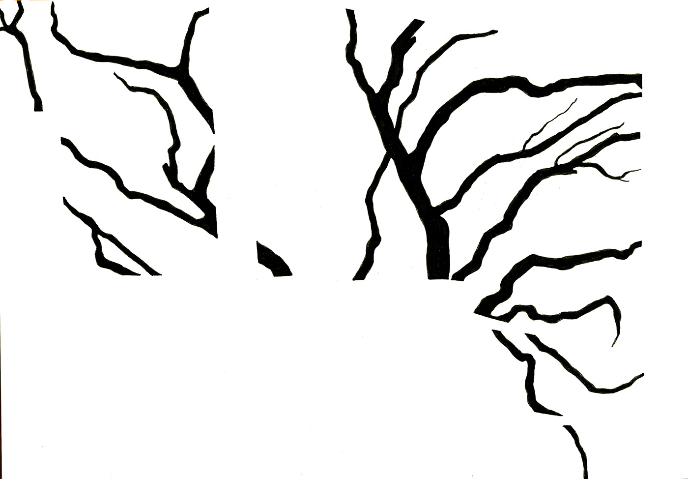 Tree  trees black White negative space pen ink black and white Nature Environmentalist