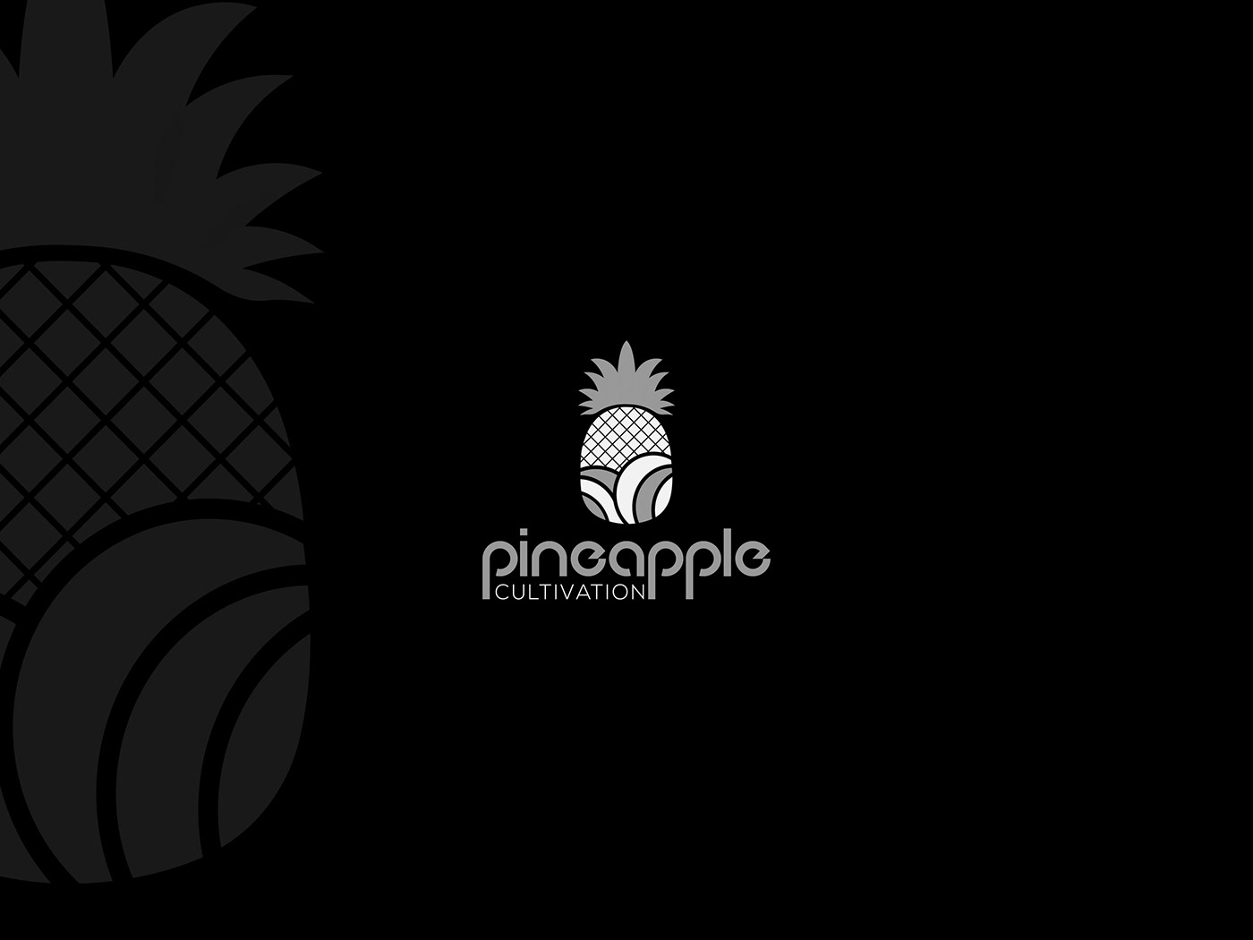 Brand Design brand identity branding  corporate logo design Creative Logo Design cultivation logo logo design branding logo identity pineapple logo Fruit