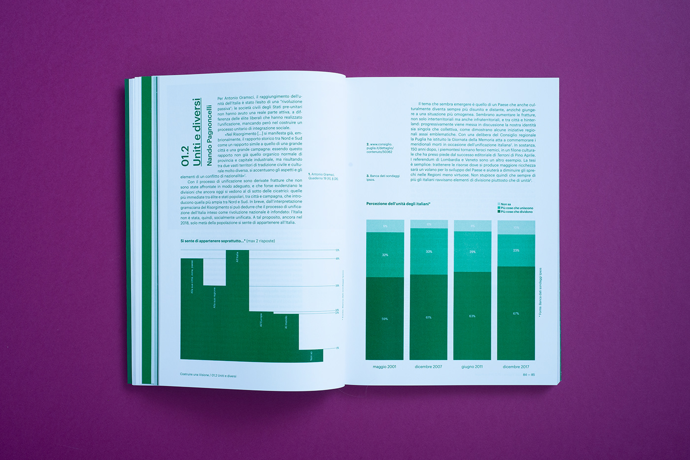 art book graphic graphicdesign green pantone Printing typography   editorial editorial design 