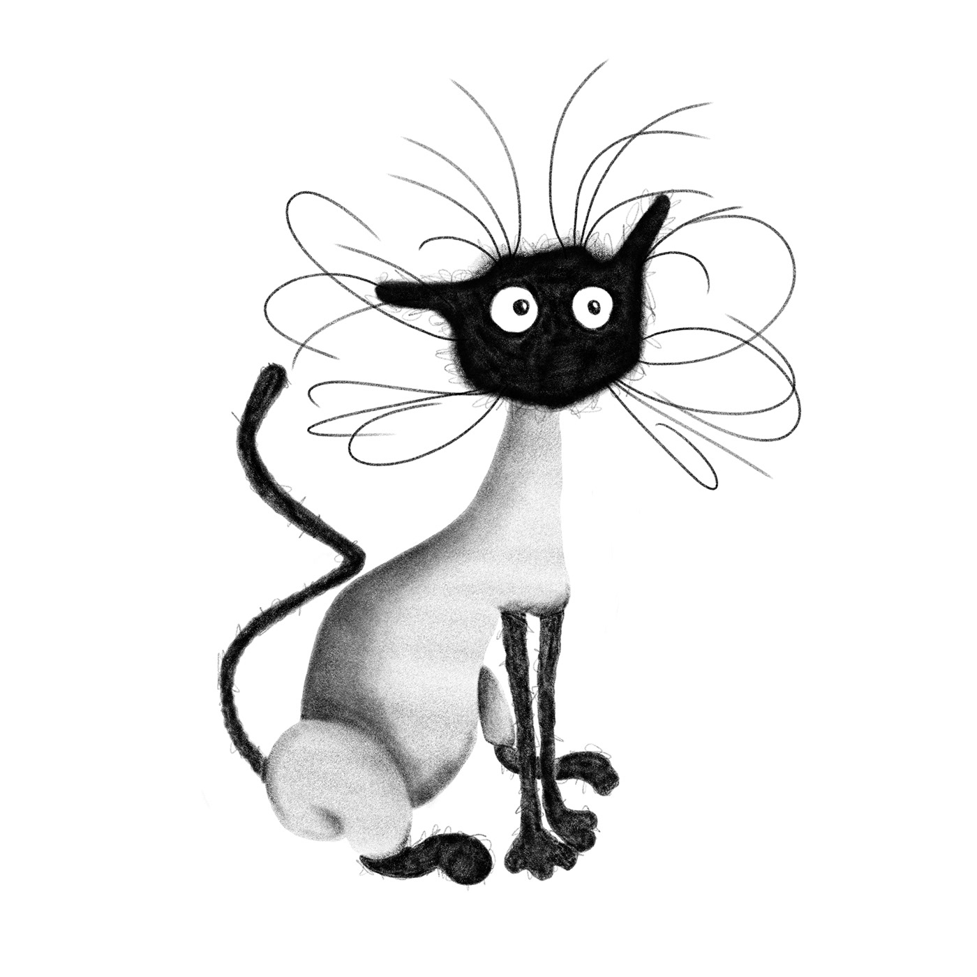 animales Arte visual blanco y negro ilustracion ilustraciones lápiz digital literatura infantil sombras
