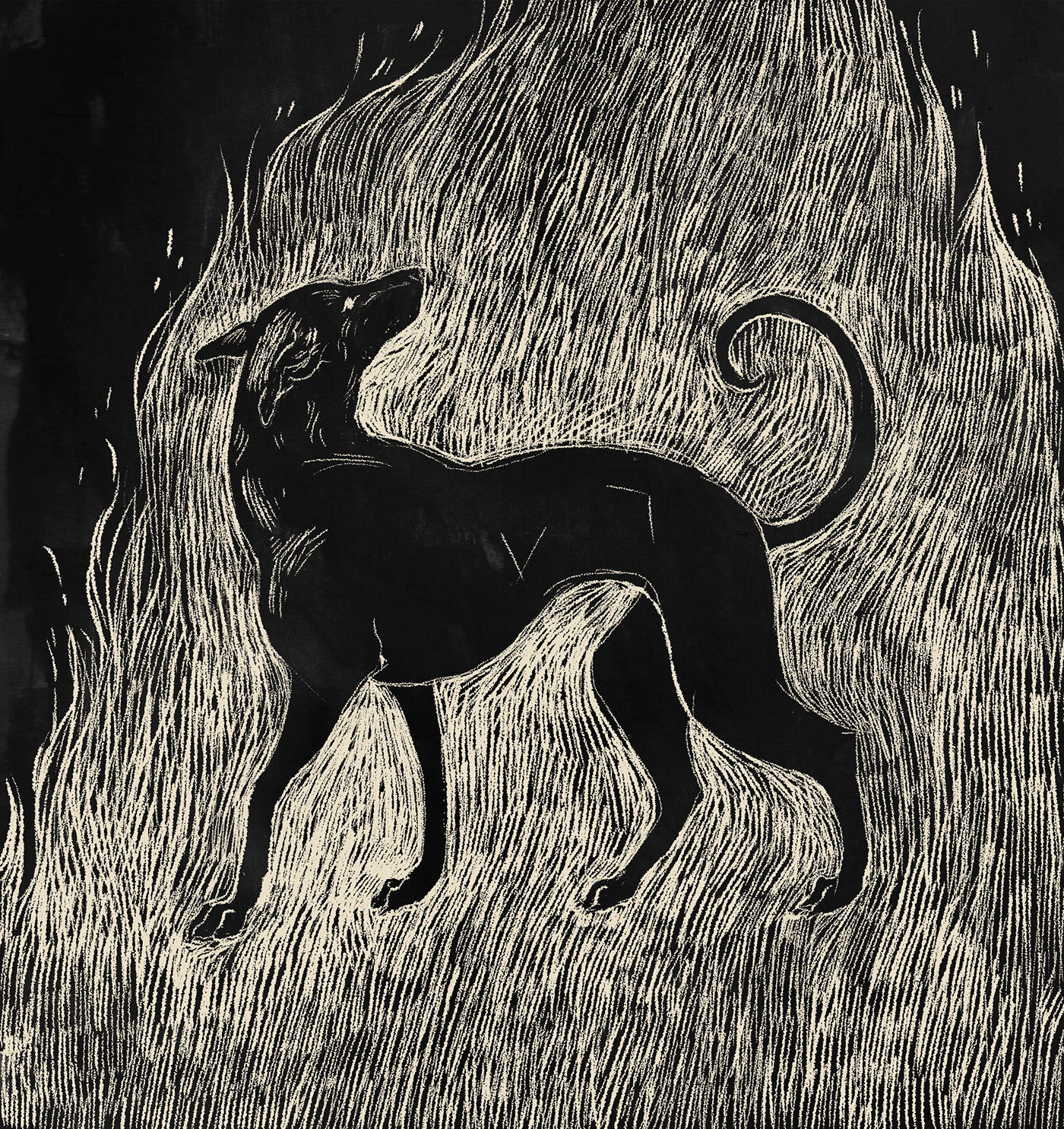 fire dog ILLUSTRATION  dog illustration woodcut tradigital
