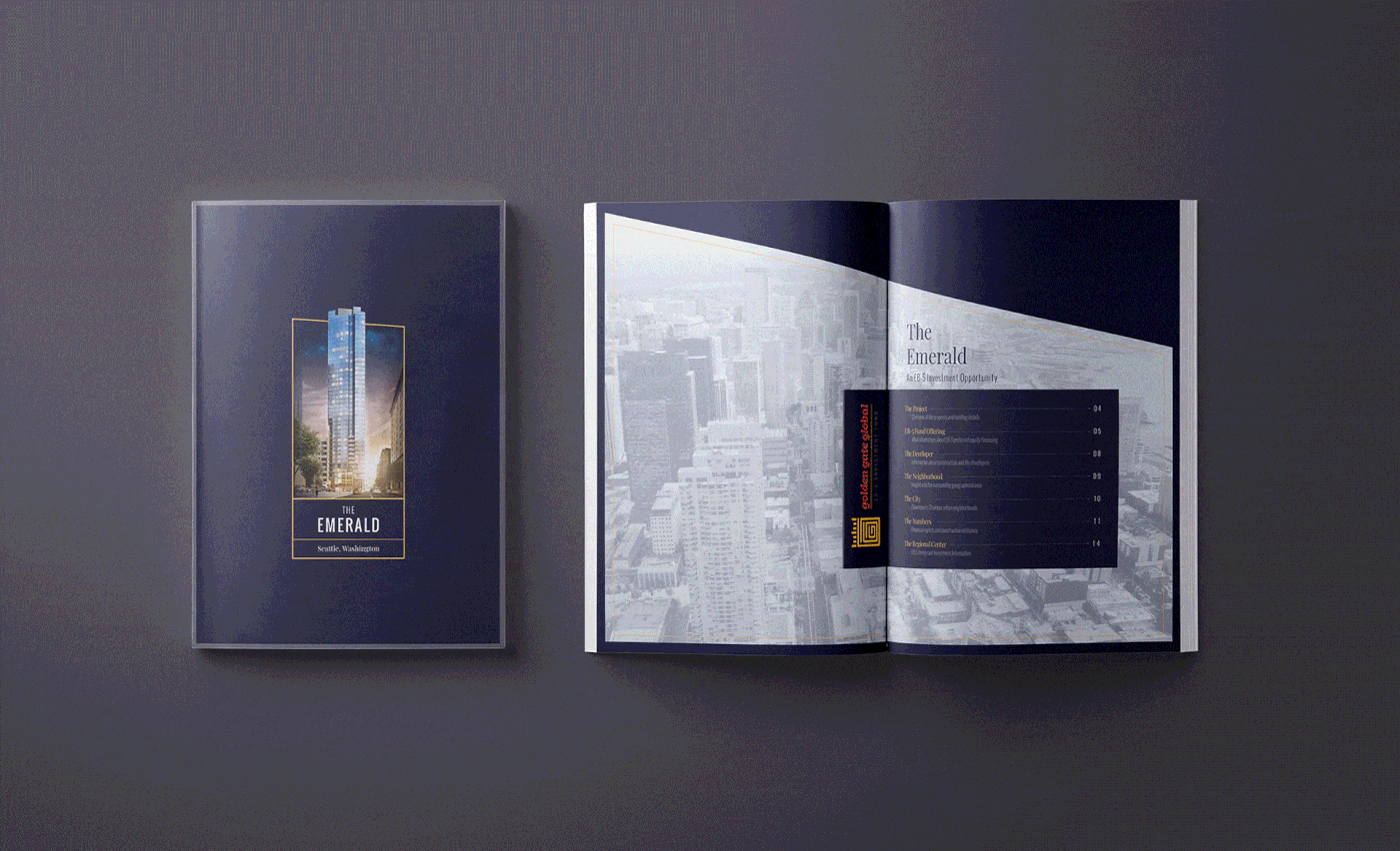 brochure design brochure graphic design  art direction  branding  Catalogue design Layout Design Layout