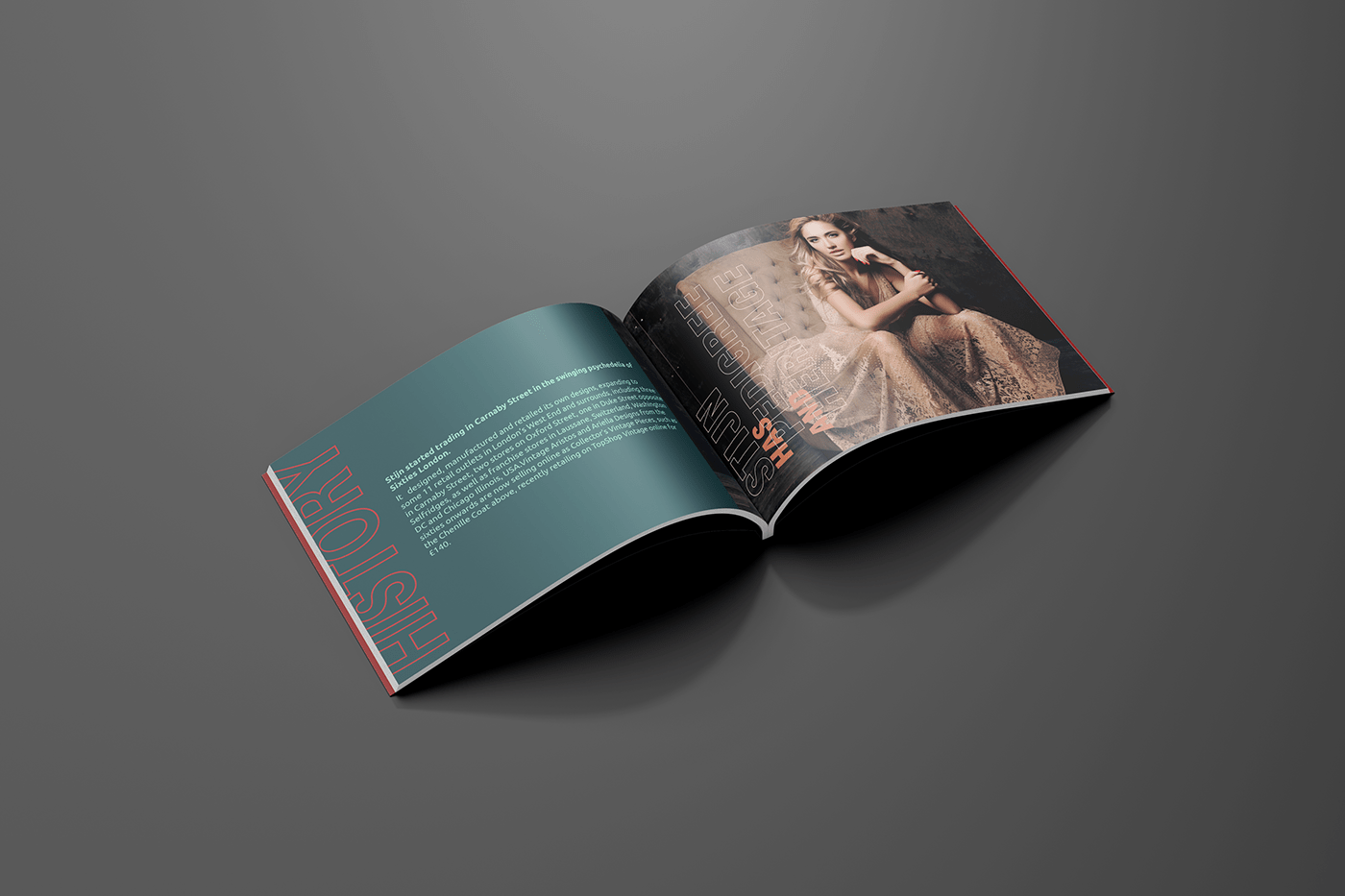 book design brochure company cover identity InDesign magazine print profile typography  