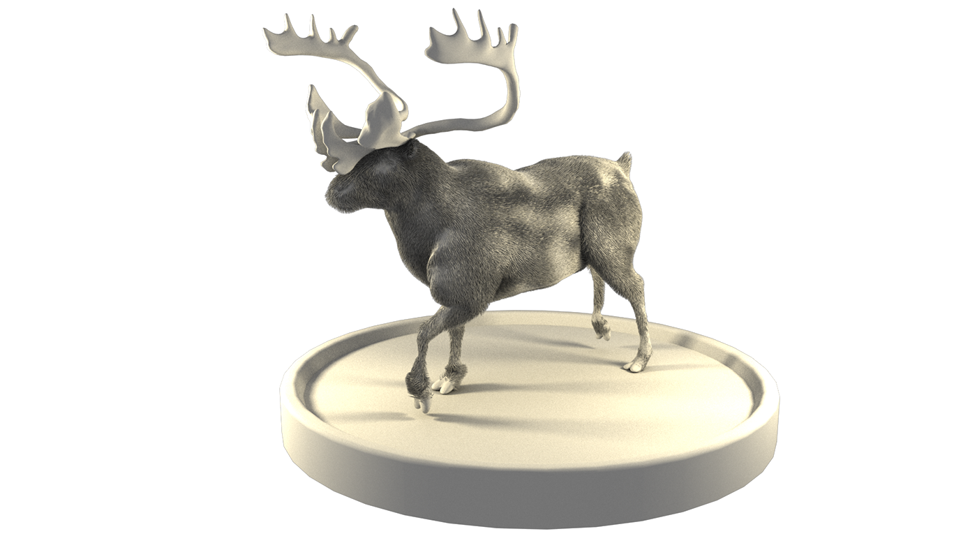 3D Maya deer animation  modeling