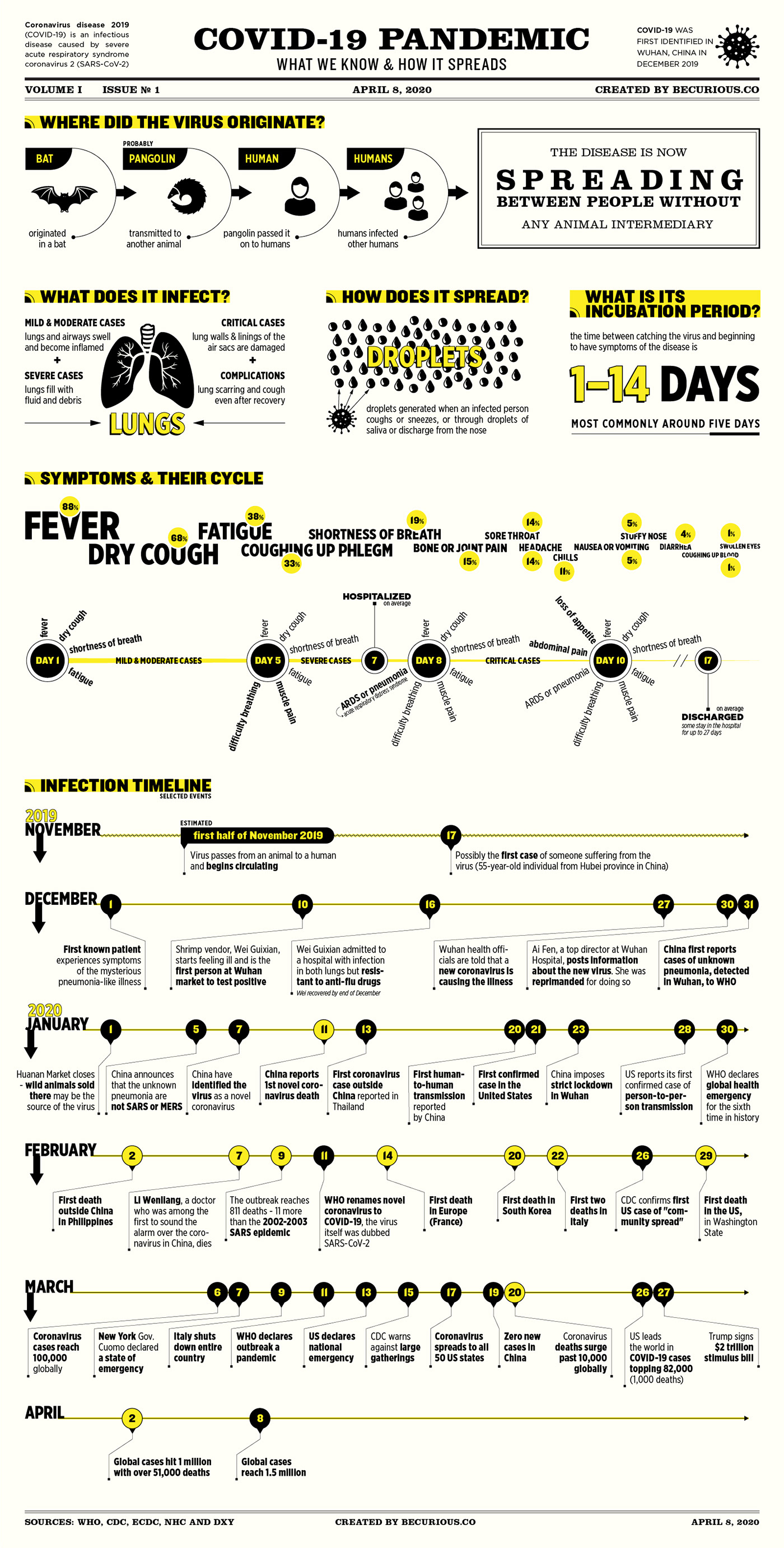 COVID19 Data data visualization graphic design  Health healthcare infographic information poster typography  