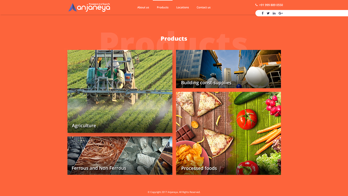 Webdesign Layout Web professional photoshop Illustrator logo branding  agriculture export