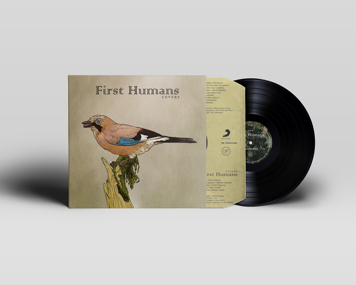 vinyl cover Packaging ILLUSTRATION  music Project brand identity