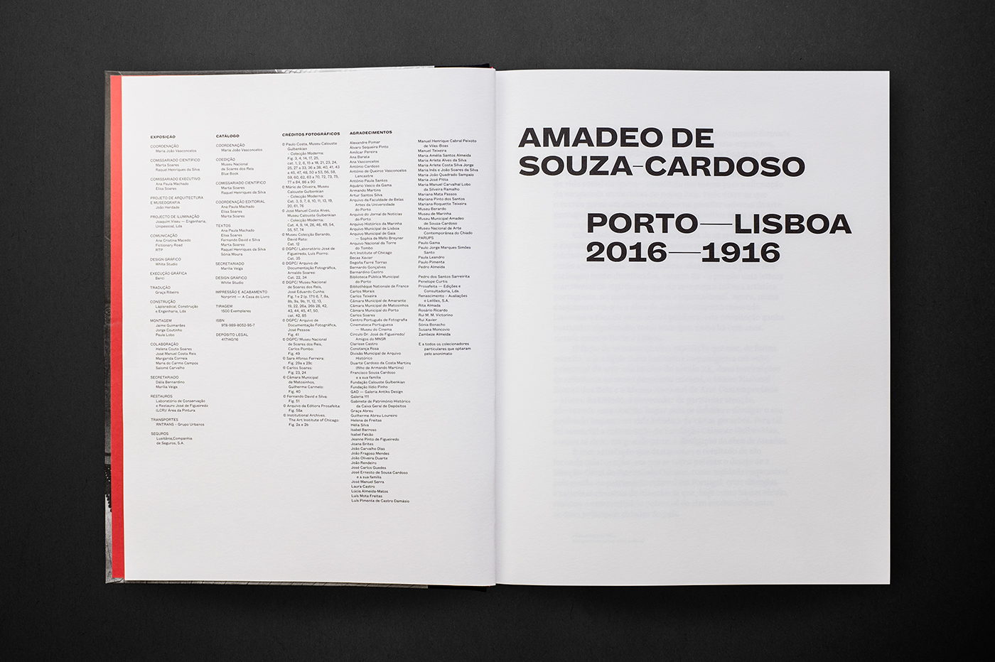 Catalogue book editorial amadeo Exhibition  porto