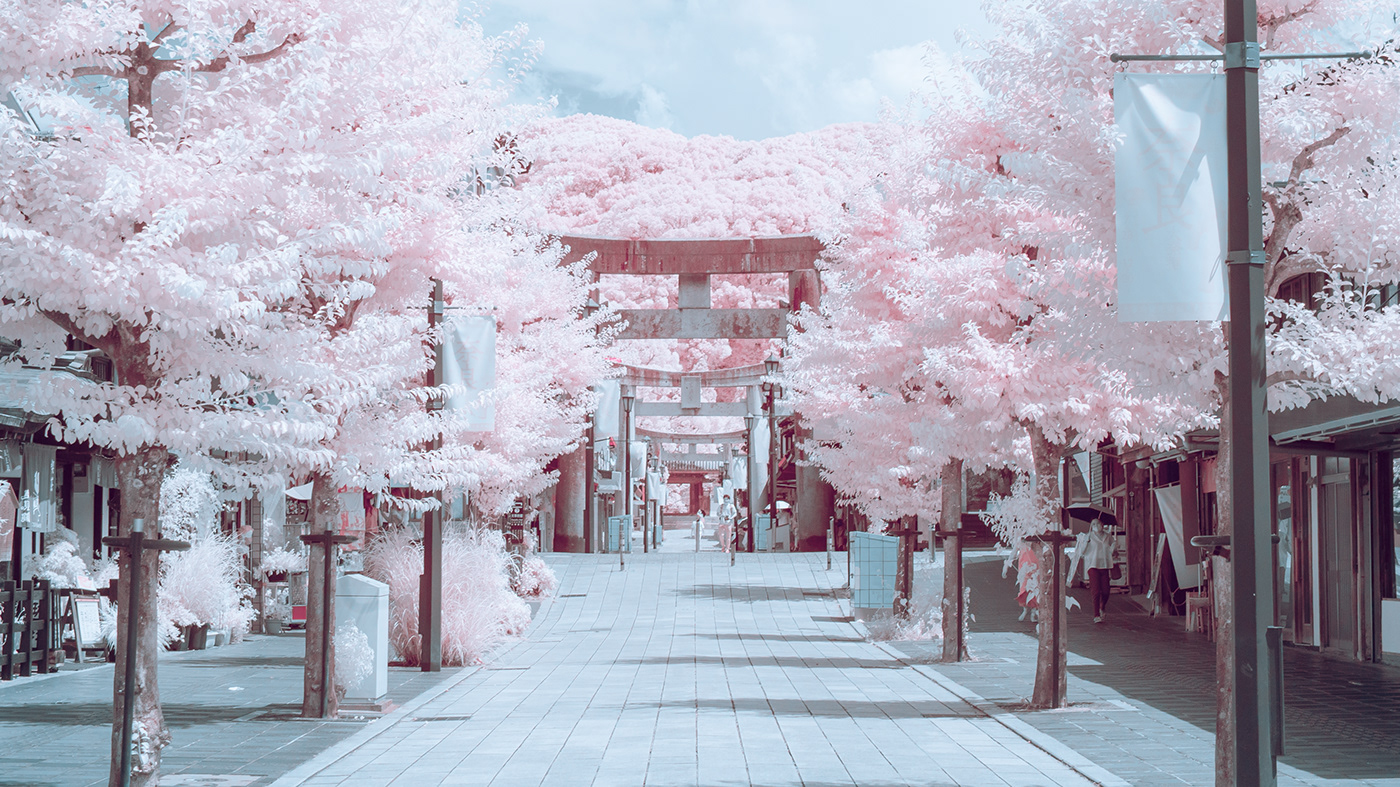 asia fukuoka infrared Infraredphotography japan photograph photographer Photography  写真 日本