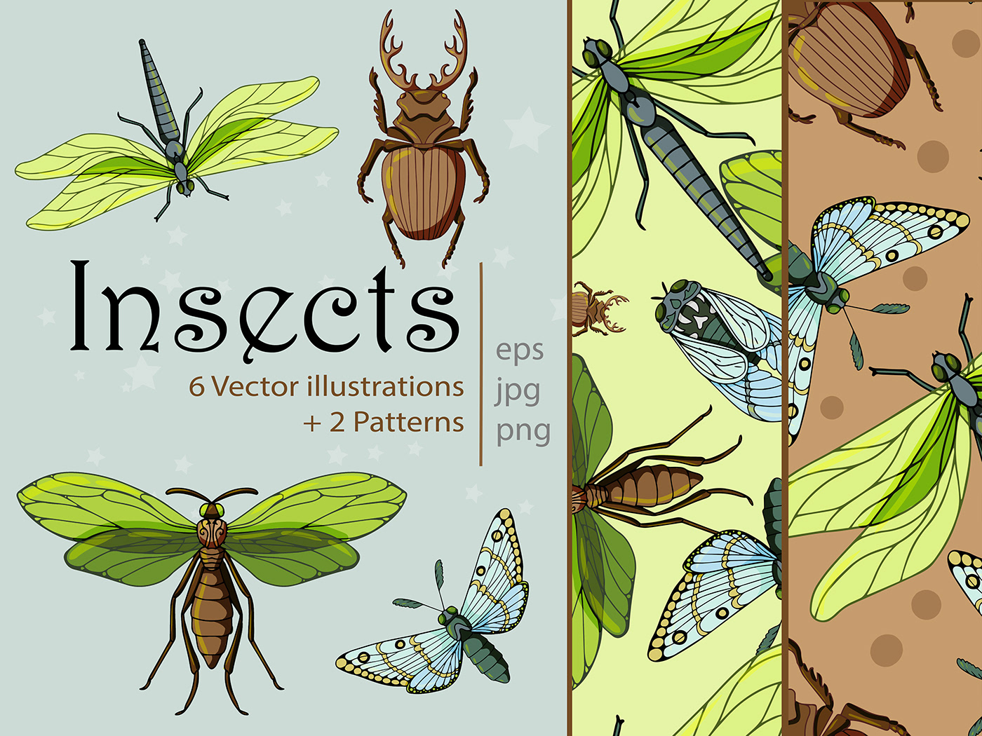beautiful insects bug butterfly cicada dragonfly Insects Patterns
