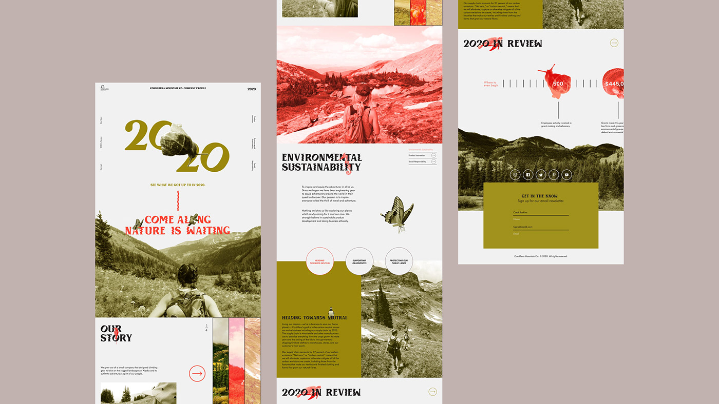 Corporate Design corporate report digital Nature report design shillington typography   Website Website Design
