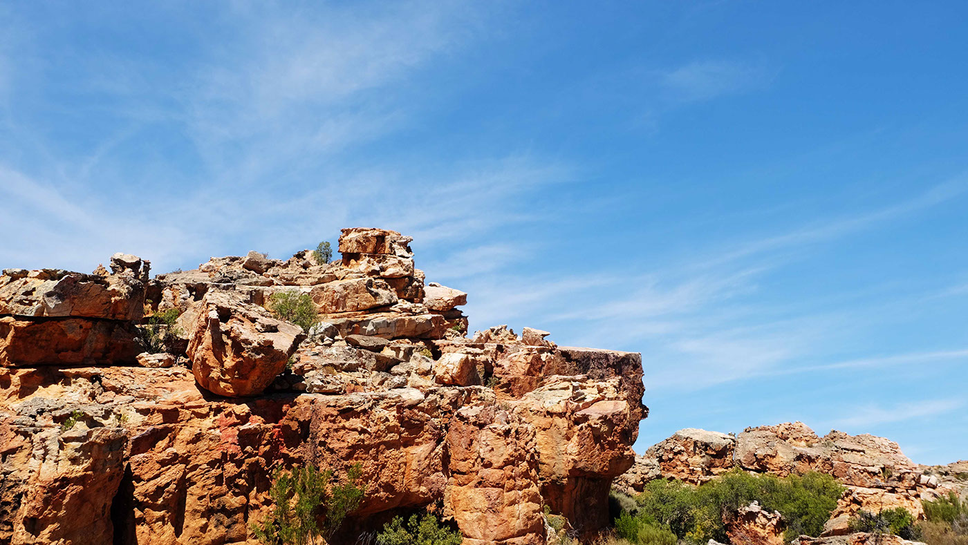 cederberg mountains Photography  nature reserve south africa