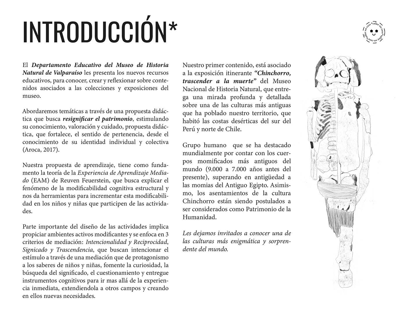 ilustracion ILLUSTRATION  design chinchorro museo educación educational