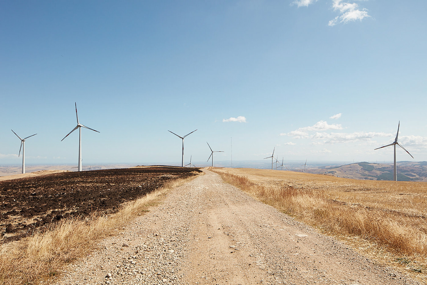 Landscape turbines wind green puglia Italy energy power eolico energia