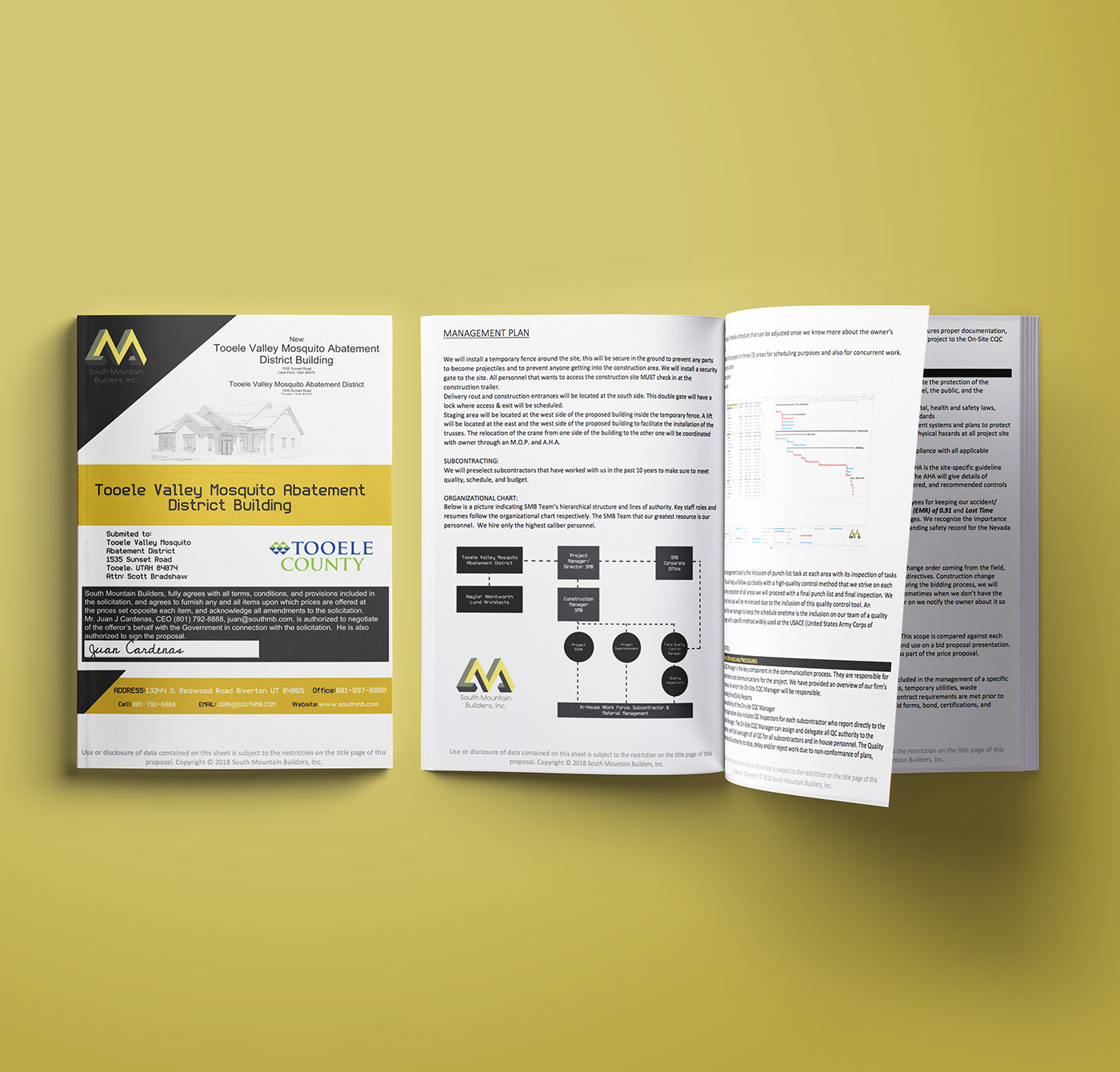 corporate branding  design Layout microsoft word Mockup Federal construction Source yellow