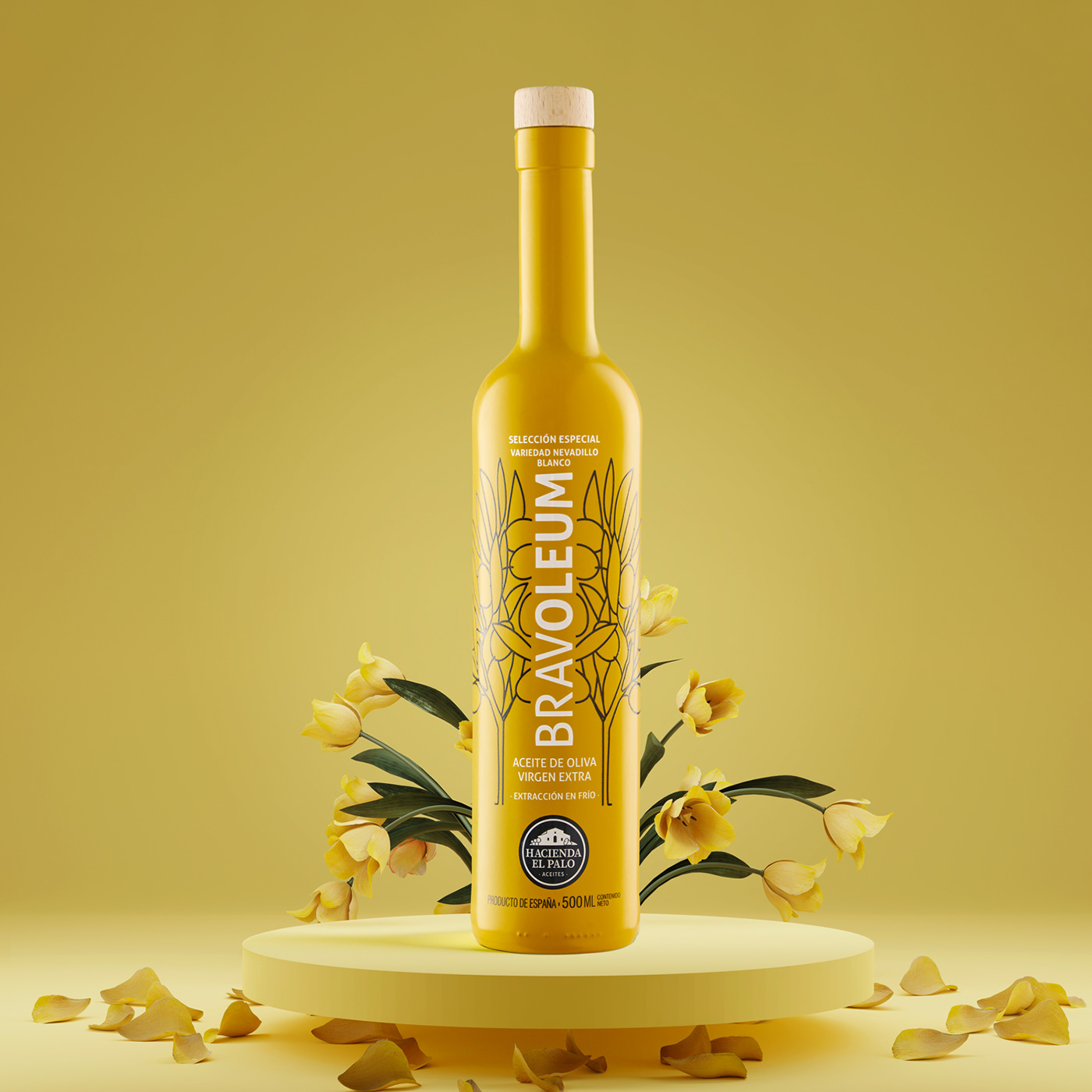 AOVE art direction  Olive Oil Photography  Product Photography set design 