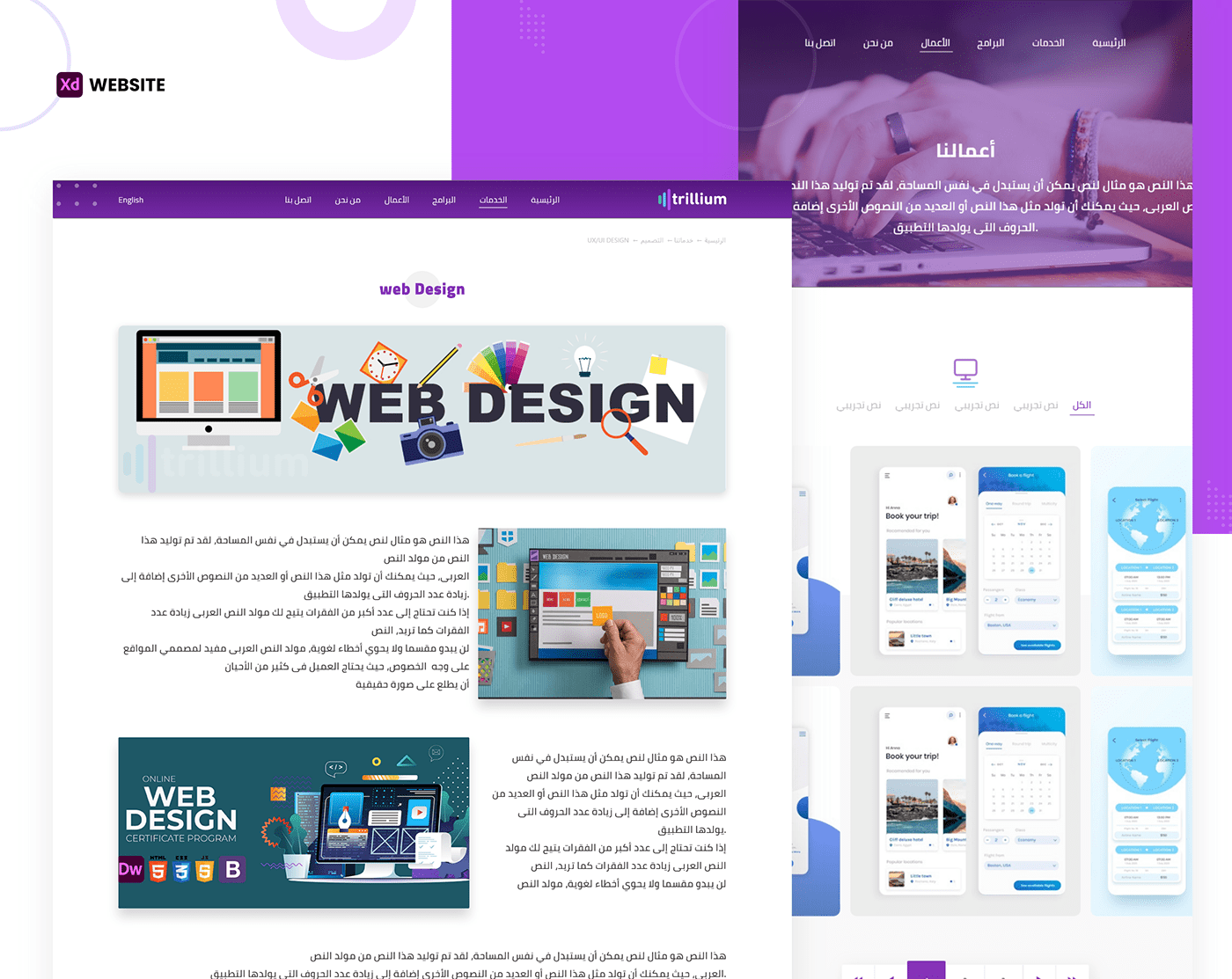 company design photoshop ui design UI/UX ux UX design Web Design  Website xD