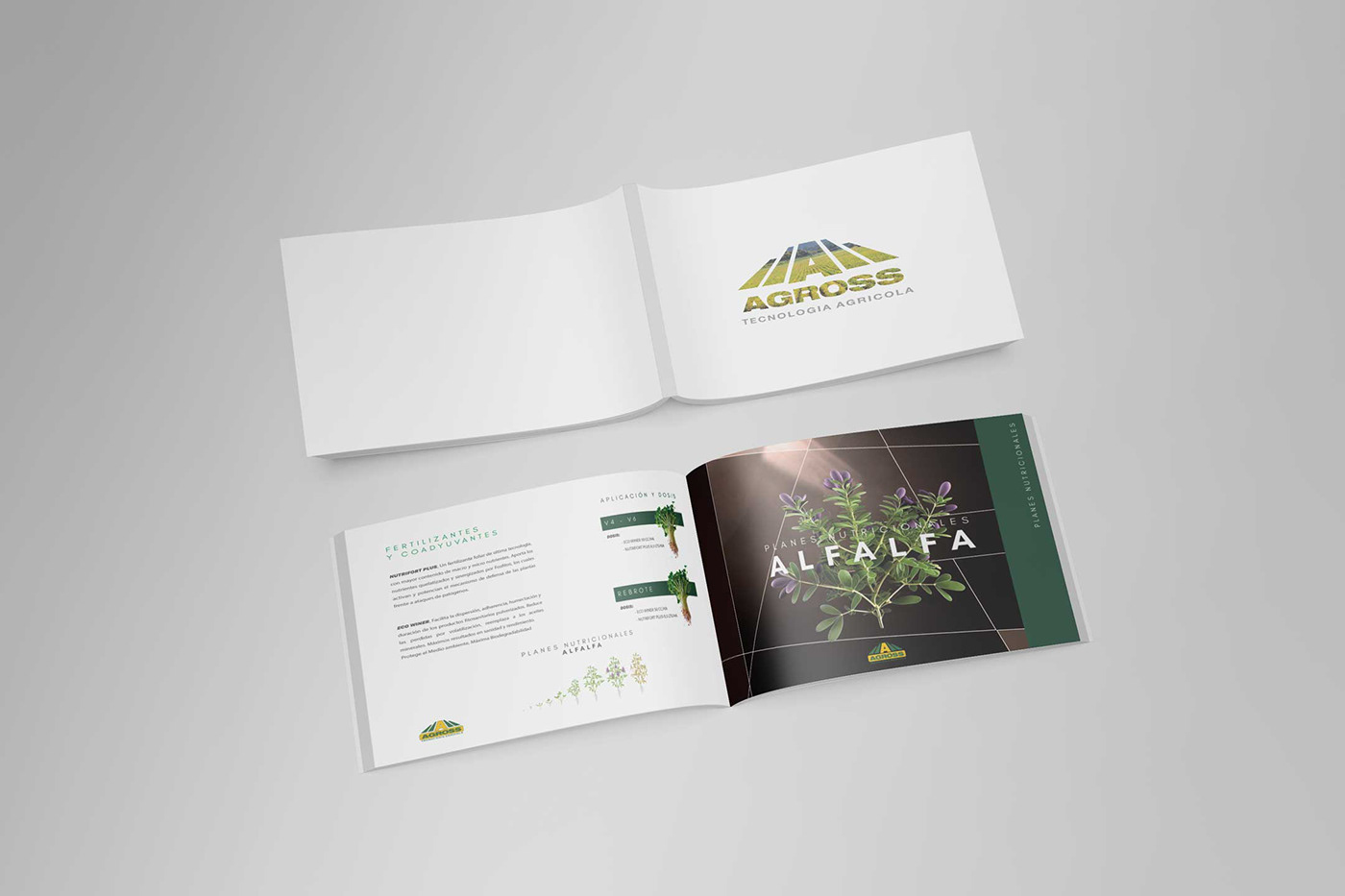 design Web Design  Website wordpress Logo Design brand identity catalogo cuadernos etiquetas Packaging