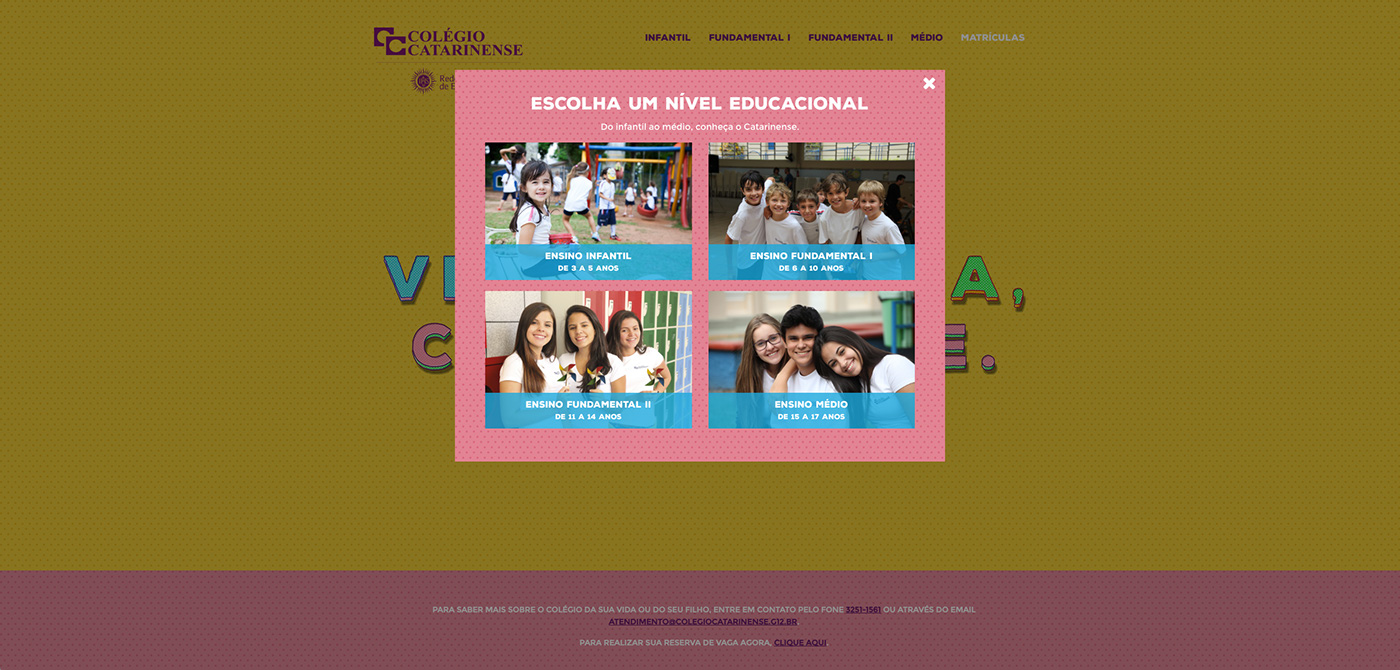 Website Web Responsive school design web development  Web Design  colors