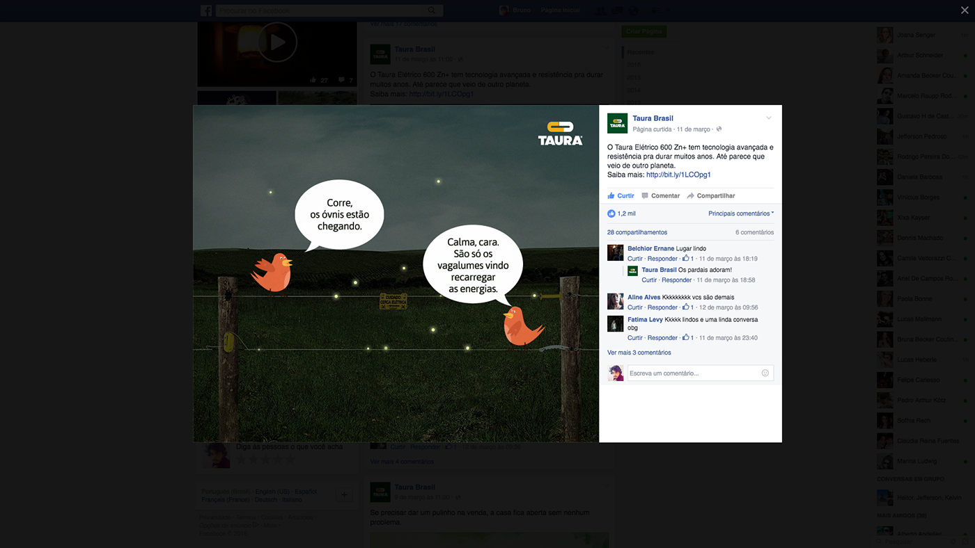 Papo pardal passarinho campo fazenda taura arame cerca post facebook social media