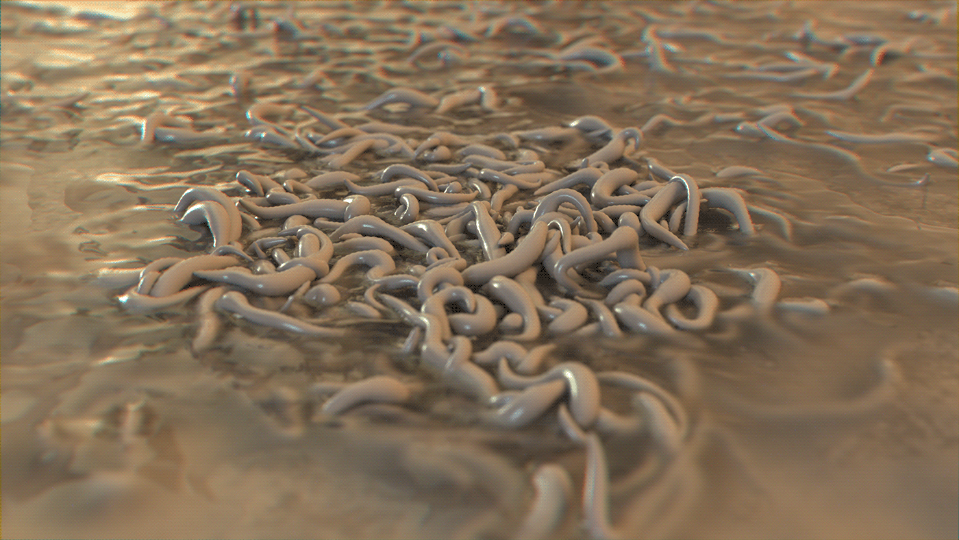 worms houdini 3D Render Lookdev CGI