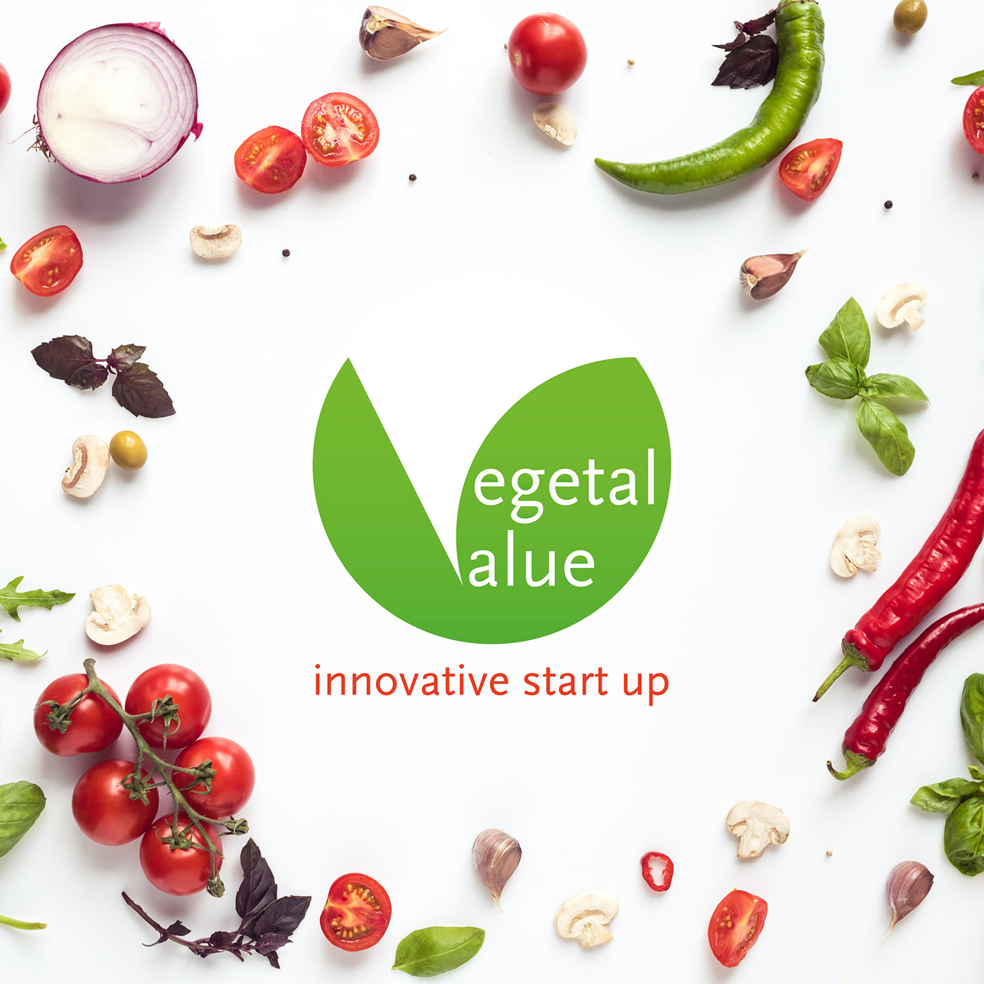 branding  logo design vegetal vegetables logo construnction