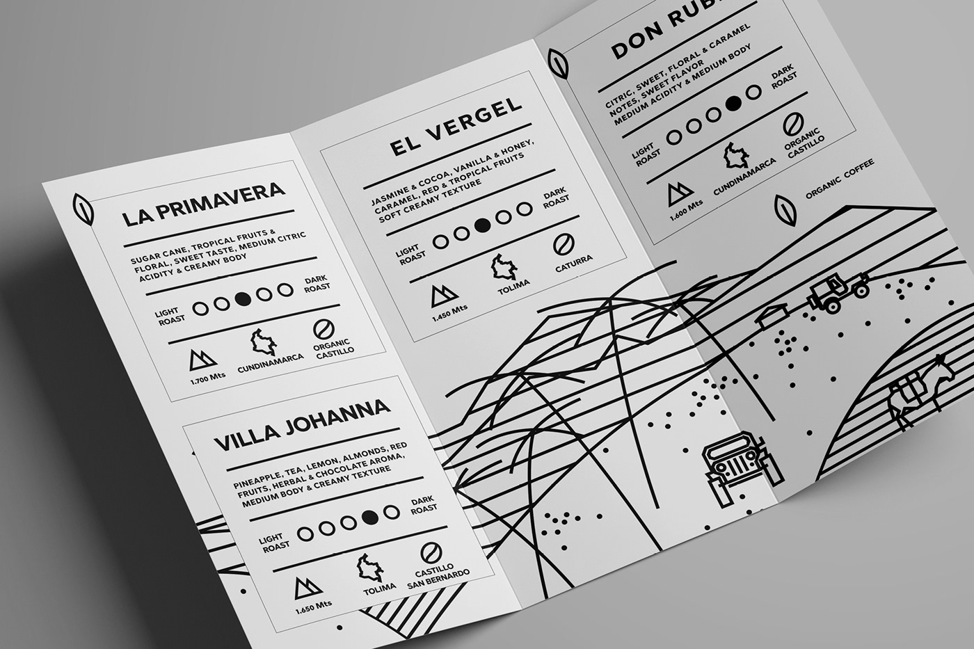 BCOME COLOMBIAN COFFEE CLUB colombia Coffee branding  logo Corporate Identity cafe re-design