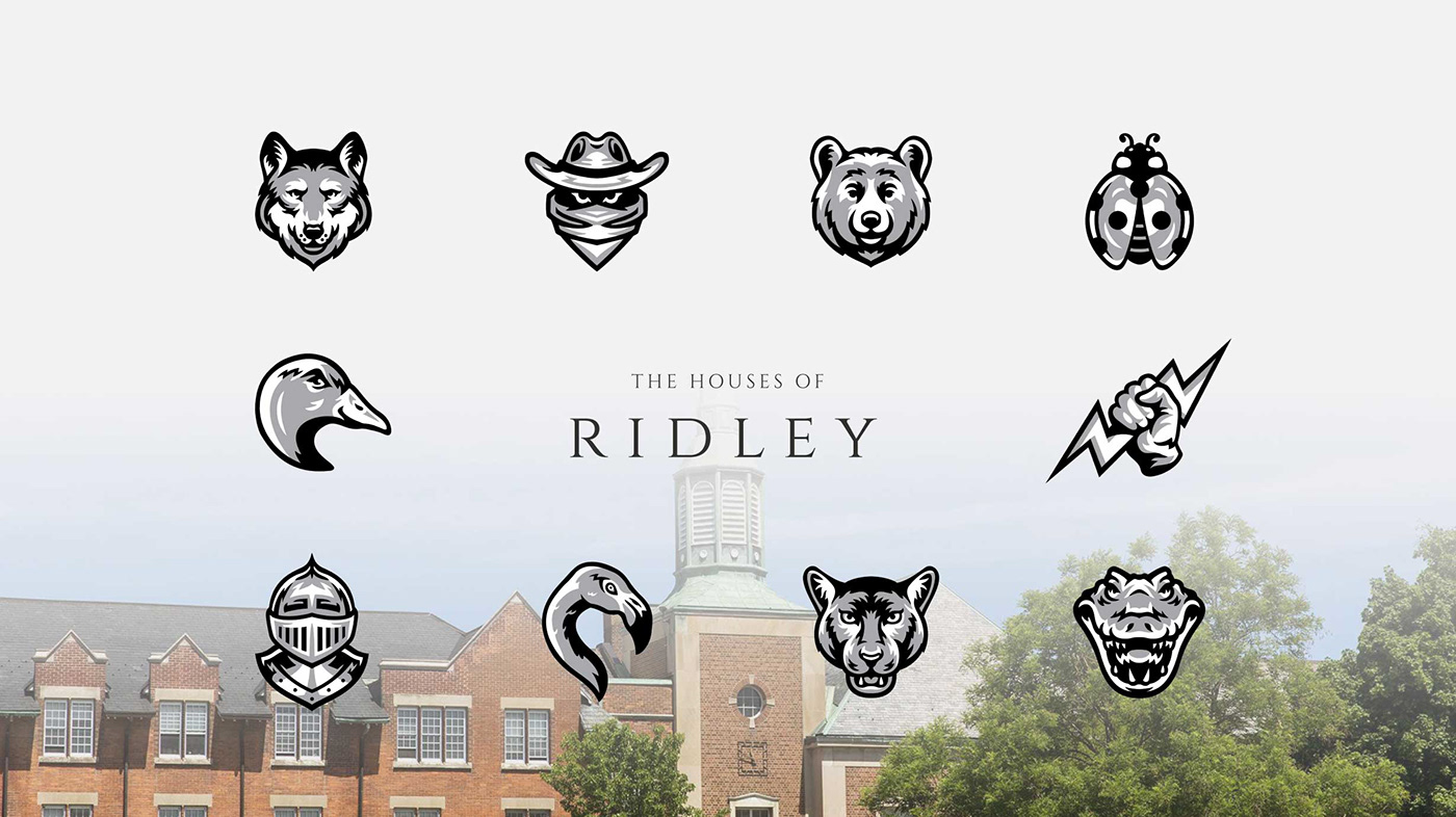 Mascot animals team logo handdrawn sports Character face college